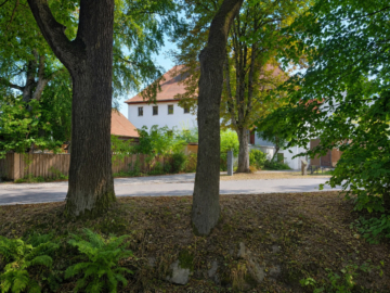 Außenansicht - Historisches Objekt mit Entwicklungspotenzial im Fichtelgebirge – 4 Wohneinheiten, Gewerbeeinheit – Ferienwohnungsoption