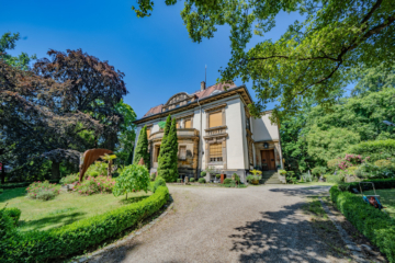 Bild - Herrschaftlich Wohnen mitten in der Stadt Hof/Saale – Jugendstil-Villa – Ein architektonisches Unikat mit Parkanlage