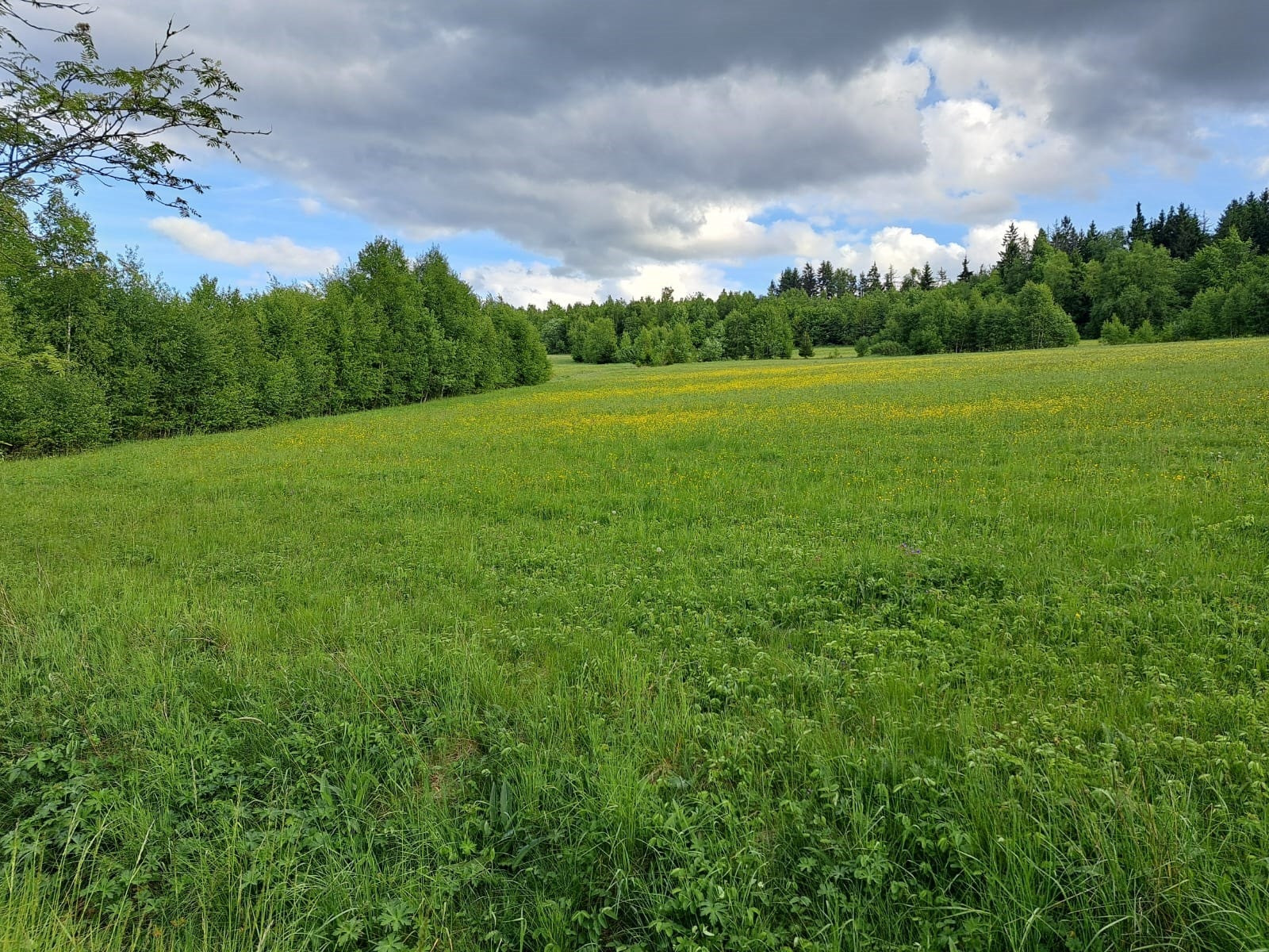 Grundstück - Entwicklungsfläche im Frankenwald: 33.621 m² mit 78 Parzellen – direkt am Frankenwaldsee / Seebühne