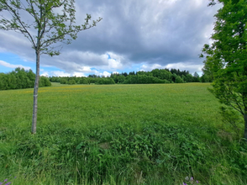 Grundstück - Entwicklungsfläche im Frankenwald: 33.621 m² mit 78 Parzellen – direkt am Frankenwaldsee / Seebühne