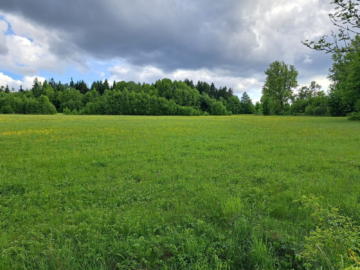 Grundstück - Entwicklungsfläche im Frankenwald: 33.621 m² mit 78 Parzellen – direkt am Frankenwaldsee / Seebühne