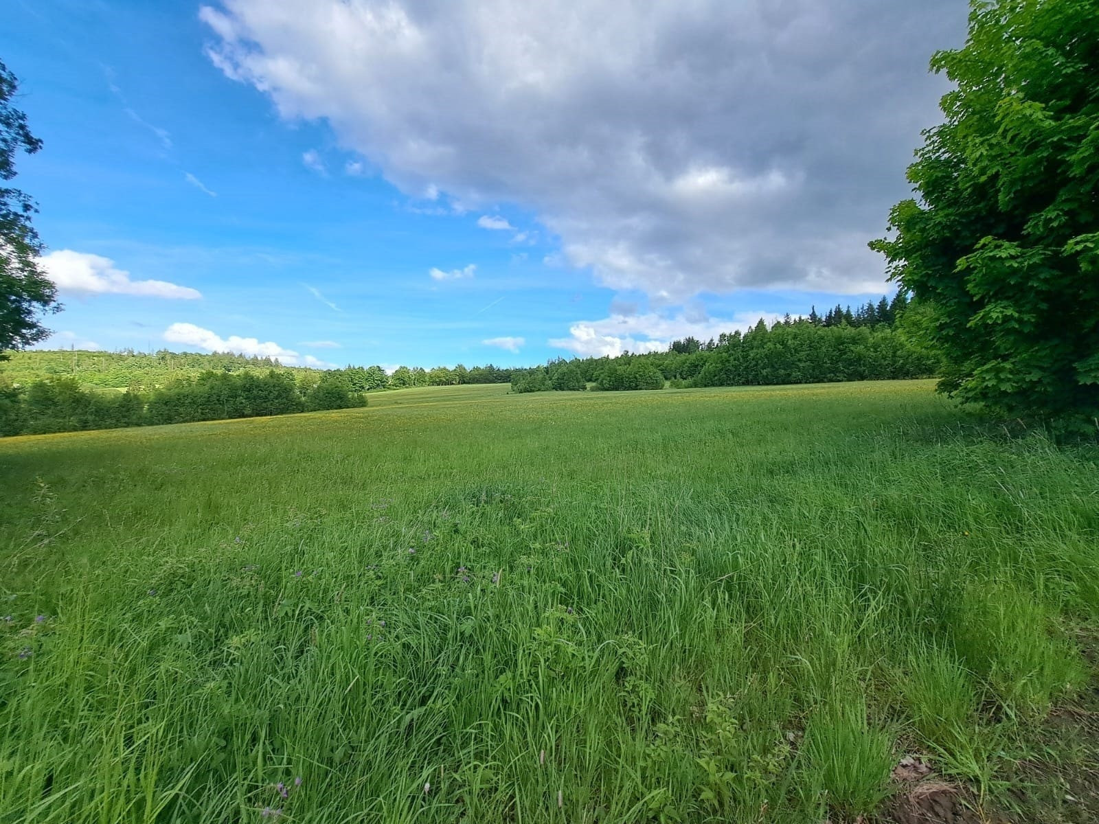 Grundstück - Entwicklungsfläche im Frankenwald: 33.621 m² mit 78 Parzellen – direkt am Frankenwaldsee / Seebühne