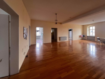 Bild - Wohn- & Geschäftshaus in der Innenstadt – Denkmalschutz – Sanierungsgebiet – herrlicher Garten Richtung Saale – WFL ca. 248 m² – GFL ca. 243 m²