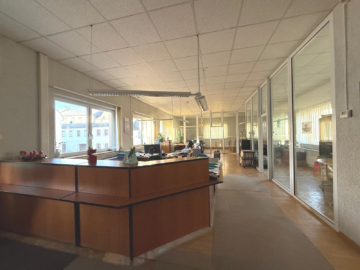 Gewerberäume - Wohn- & Geschäftshaus in Mittweida: 4 WE, Büro/Lager, 4 Garagen, Wohnfl. 300 m², Gewerbefl. 500 m².