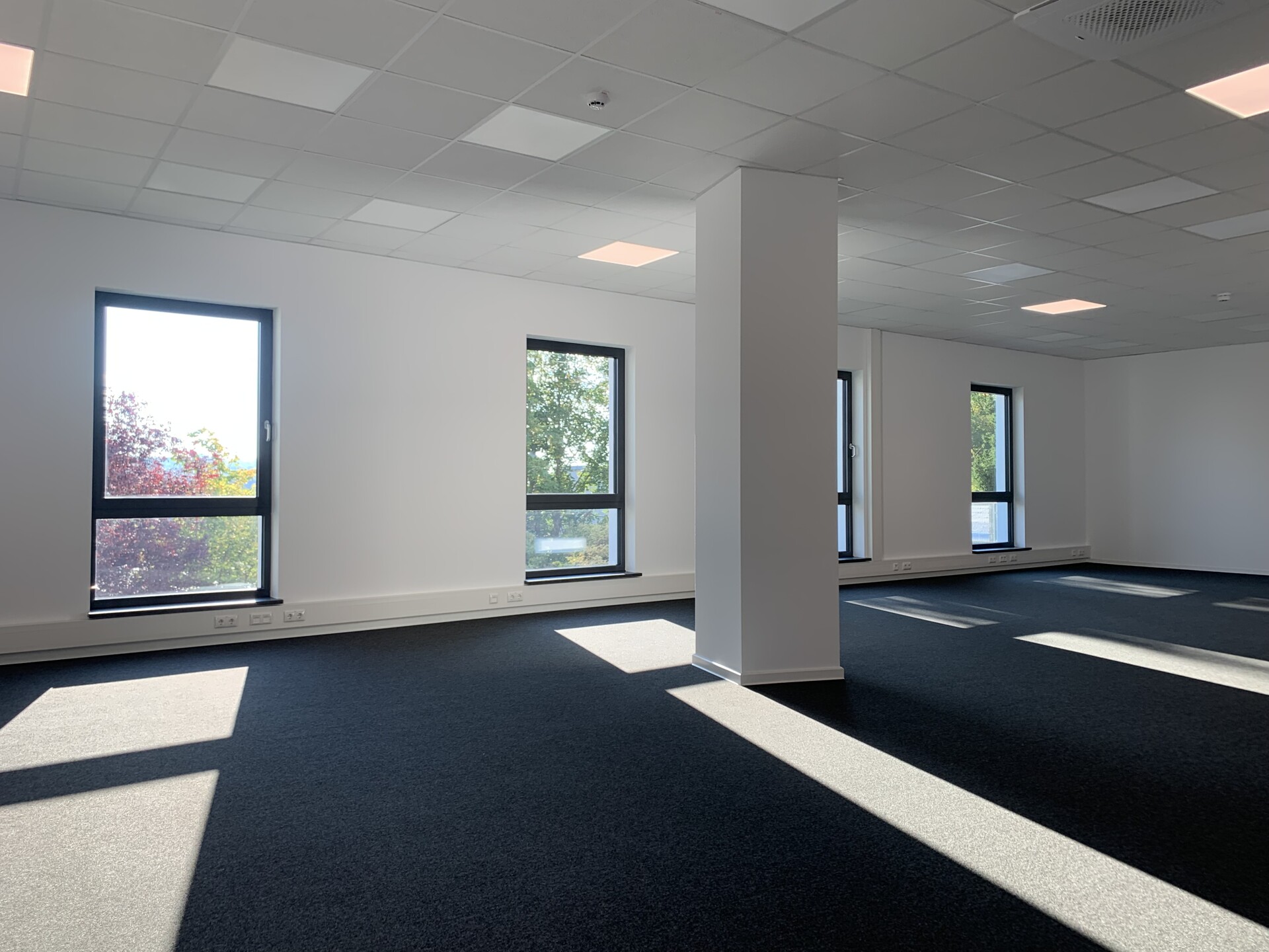 Bürofläche - Erstbezug nach Sanierung: Top moderne, klimatisierte Bürofläche im Herzen der Stadt Hof – Aufzug – barrierefreier Zugang