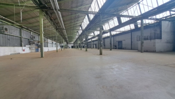 Halle 12 - Innenansicht - Kaltlagerhallen Gfl. ca. 13.400 m² in 95145 Oberkotzau – Laderampen, ebenerdige Zufahrt – teilbar ab ca. 4.000 m²