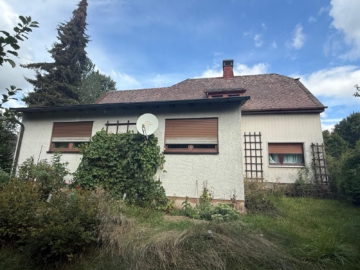rückwärtige Ansicht - Handwerkerobjekt: Kernsanierungsbedürftiges Einfamilienhaus in Oberkotzau/Fattigau – ca. 140 m² Wfl. – 1.384 m² Grst.