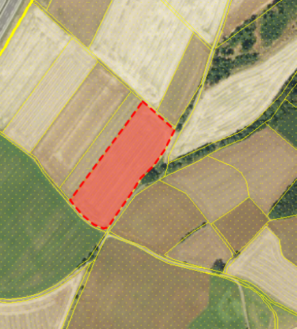 Landwirtschaftlich genutzte Fläche – ca. 12.260 m² – in unmittelbarer Nähe der Bundesautobahn A9, 95180 Berg, Land-/Forstwirtschaft