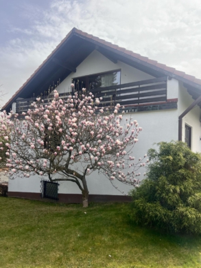 Seitliche Ansicht - Großzügiges Wohnhaus mit Gästebereich in bester Wohnlage – Wohnfl. ca. 180 m² – Grst. 1.000 m² – vollunterkellert mit Kellerbar, Garten & Garage