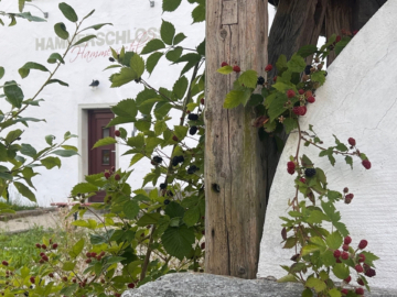 Detailansicht - Historisches Anlageobjekt mit Entwicklungspotenzial im Fichtelgebirge mit Wohn-, Gewerbe- und Ferienwohnungsoption