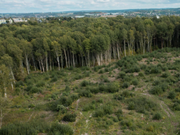 Bild - Baugrundstück, mit gültigem B-Plan für Wohnbebauung (Geschossbau) in 1A-Lage – sofort verfügbar