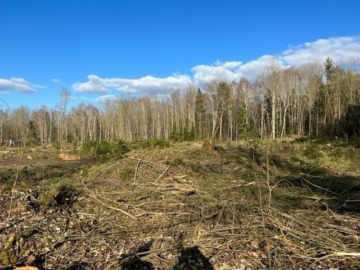 Bild - Baugrundstück, mit gültigem B-Plan für Wohnbebauung (Geschossbau) in 1A-Lage – sofort verfügbar