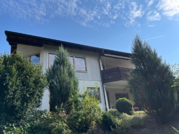 rückwärtige Ansicht - EFH mit viel Platz – bis zu 4 Kinderzimmer möglich – WF ca. 215 m² – Grst. ca. 910 m² – Doppelgarage – Hof/Saale