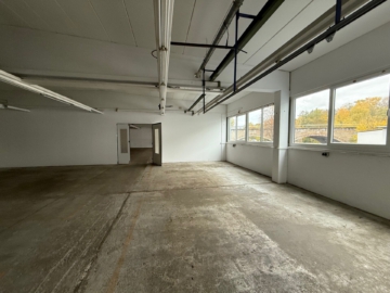 Innenansicht - Werkhalle (ca. 472 m²) mit Rampe, Sanitäranlagen & kleinem Büro in Hof-Moschendorf